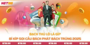 Bạch Thủ Lô Là Gì? Bí Kíp Soi Cầu Bách Phát Bách Trúng 2025