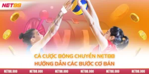 Cá Cược Bóng Chuyền Net88 - Hướng Dẫn Các Bước Cơ Bản