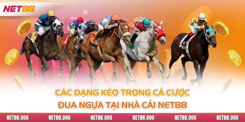 Cá Cược Đua Ngựa Net88 - Hình Thức Giải Trí Giàu Chiến Thuật 4 Các dạng kèo trong cá cược đua ngựa tại nhà cái Net88