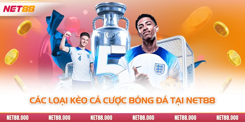 Cá Cược Bóng Đá Net88 - Đấu Trường Uy Tín Cho Dân Mê Thể Thao 3 Các loại kèo cá cược bóng đá tại Net88