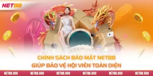 Chính Sách Bảo Mật Net88 Giúp Bảo Vệ Hội Viên Toàn Diện