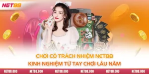 Chơi Có Trách Nhiệm Net88 - Kinh Nghiệm Từ Tay Chơi Lâu Năm