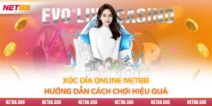 Xóc Đĩa Online Net88 - Hướng Dẫn Cách Chơi Hiệu Quả